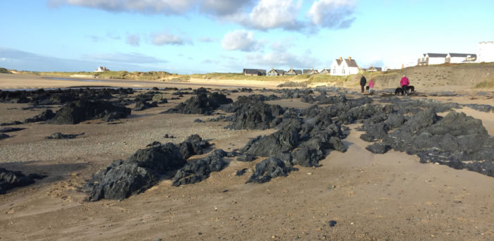 View of the shale outcrops on Rhosneigr beach.